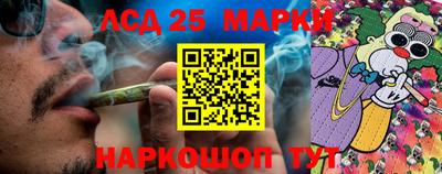 прущие грибы Пенза