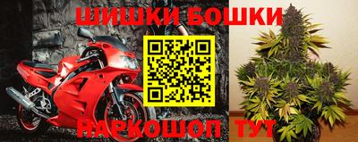 прущие грибы Пенза