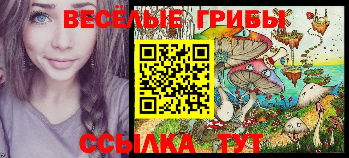 Псилоцибиновые грибы GOLDEN TEACHER Северобайкальск