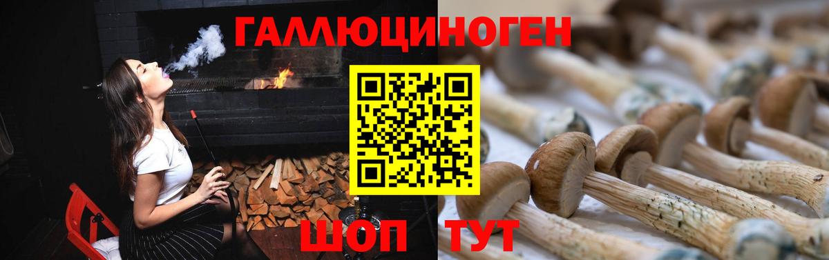 Псилоцибиновые грибы прущие грибы  Галлюциногенные грибы Psilocybine cubensis  Северобайкальск  Вход с VPN 