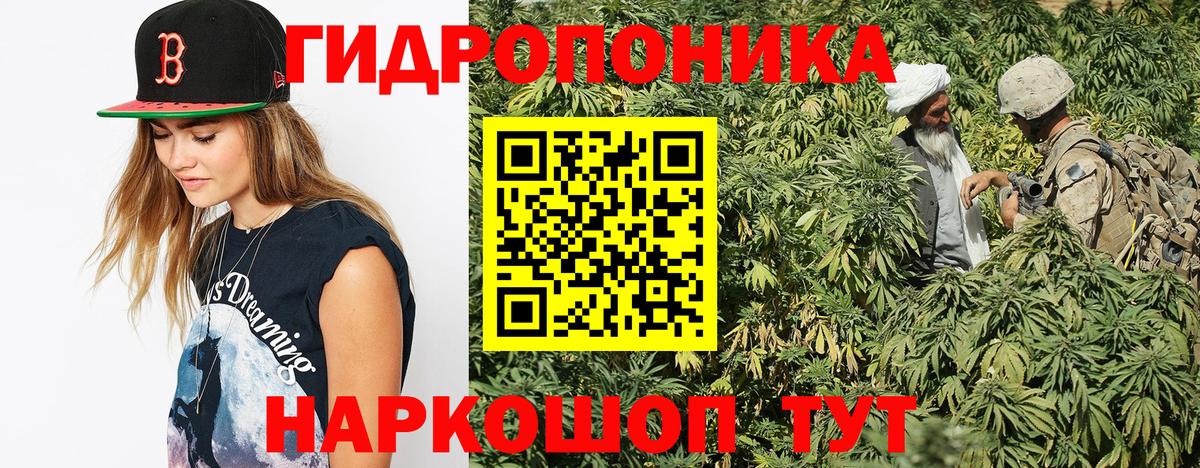 МАРИХУАНА Bruce Banner Северобайкальск